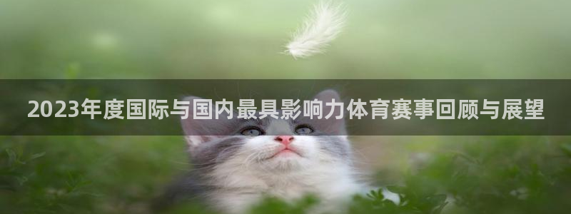 2023年度国际与国内最具影响力体育赛事