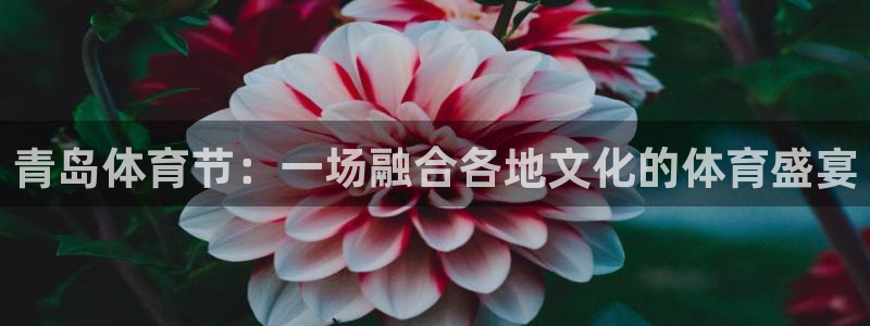 青岛体育节：一场融合各地文化的体育盛宴
