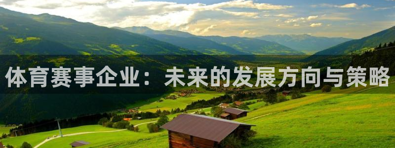 体育赛事企业：未来的发展方向与策略